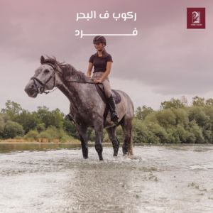 رحلة للبحر (فرد)