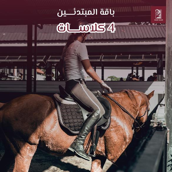 باقة المبتدئين 4 كلاسات