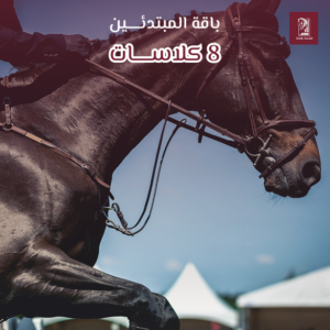 باقة المبتدئين 8 كلاسات