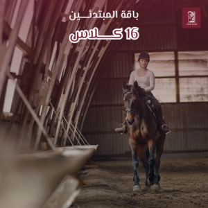 باقة المبتدئين 16 كلاس