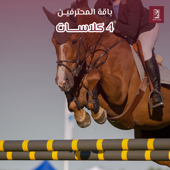 باقة المحترفين 4 كلاسات