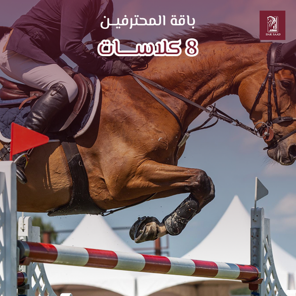 باقة المحترفين 8 كلاسات