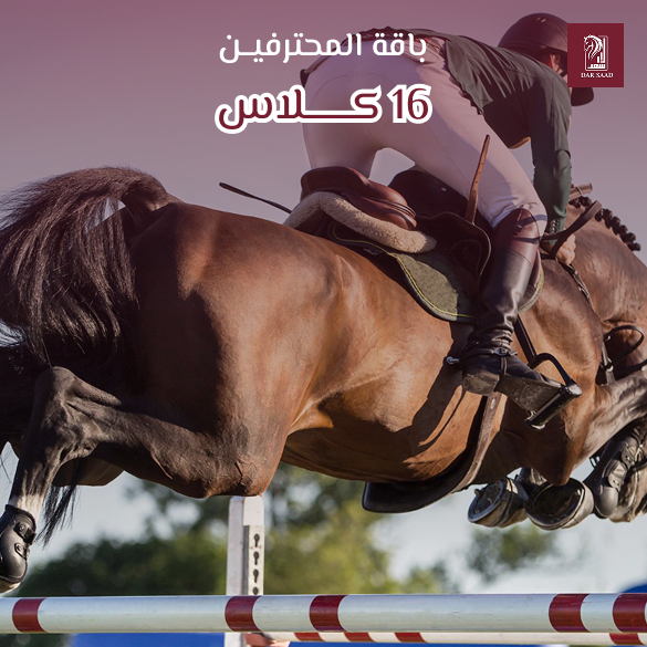 باقة المحترفين 16 كلاس