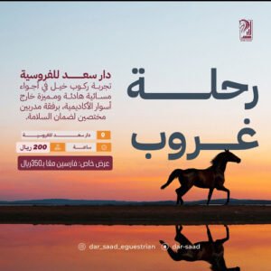 رحلات بالخيل في الغروب