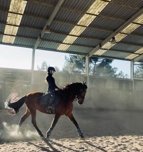 دروس خيول للمبتدئين