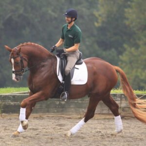 تدريب فروسيه