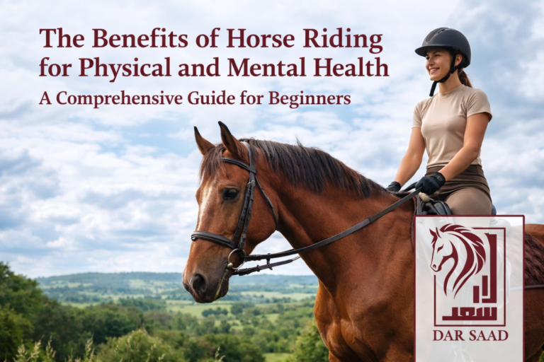 فوائد ركوب الخيل للصحة الجسدية والنفسية – دليل شامل للمبتدئين