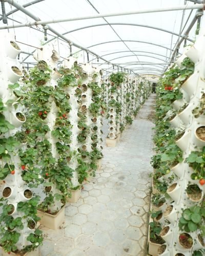 Copy of DSC09993